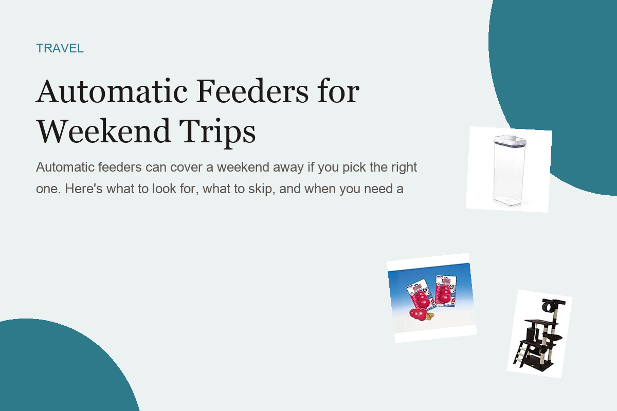 Automatic Feeders for Weekend Trips