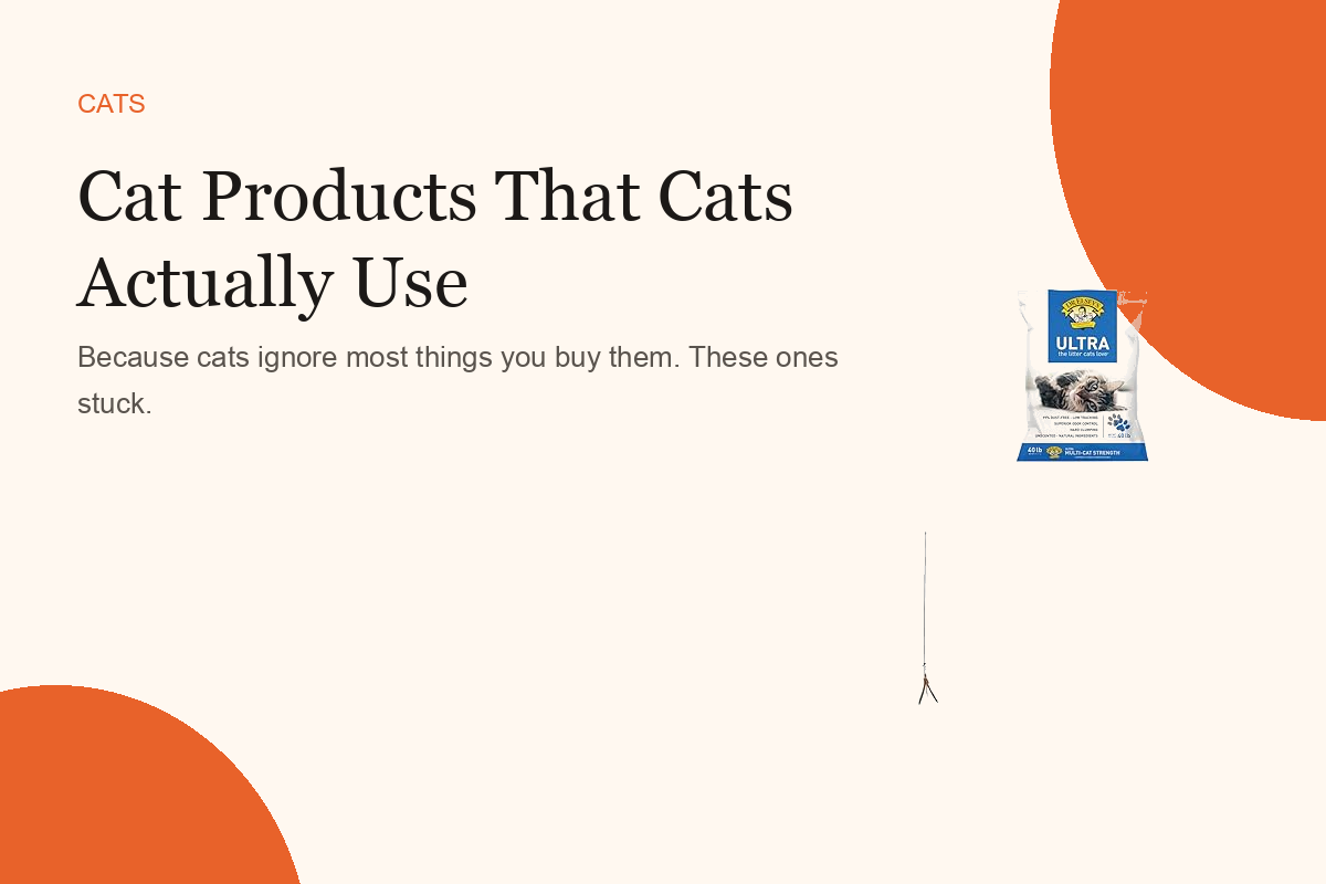 Cat Products That Cats Actually Use