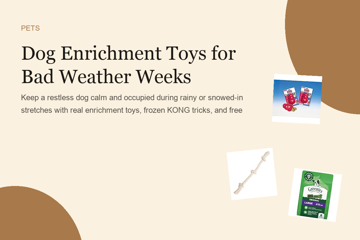 Dog Enrichment Toys for Bad Weather Weeks