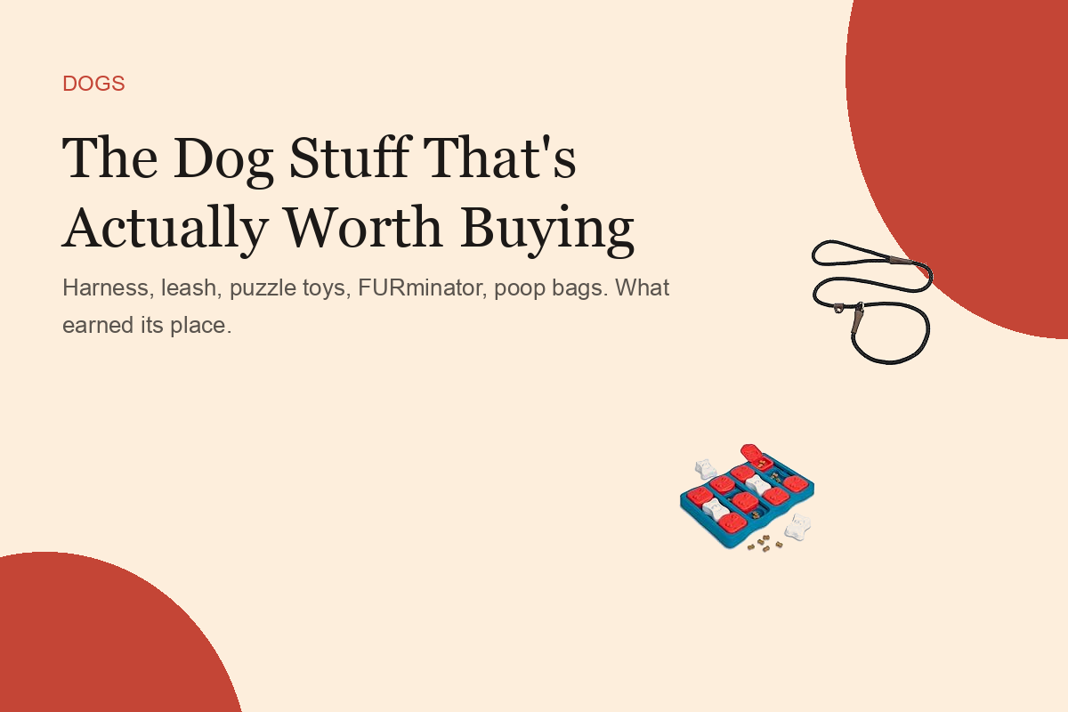 The Dog Stuff That's Actually Worth Buying