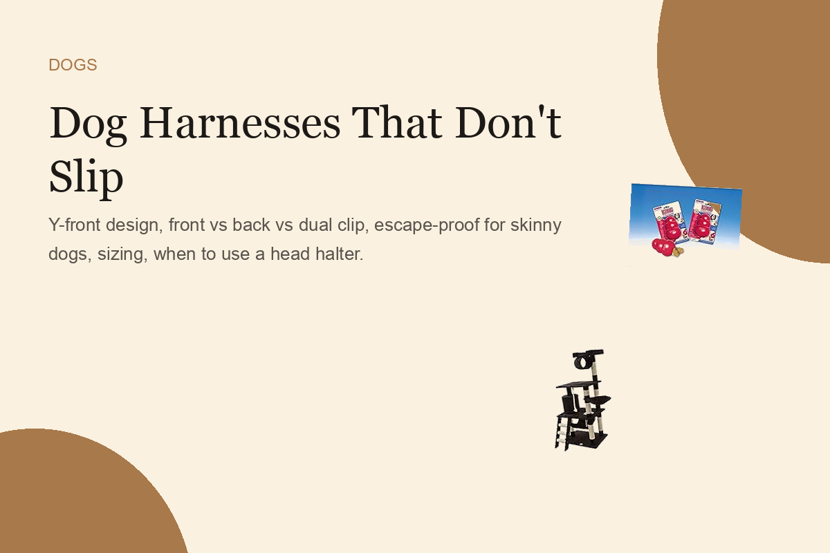 Dog Harnesses That Don't Slip