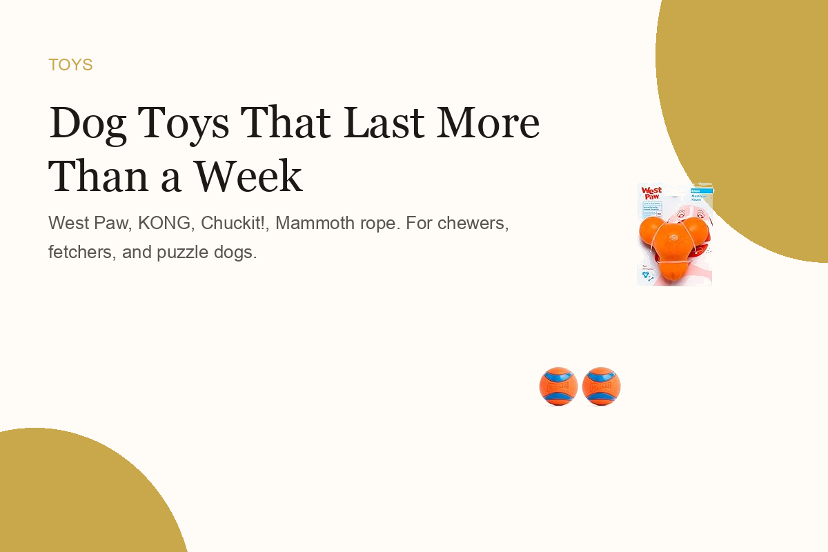 Dog Toys That Last More Than a Week