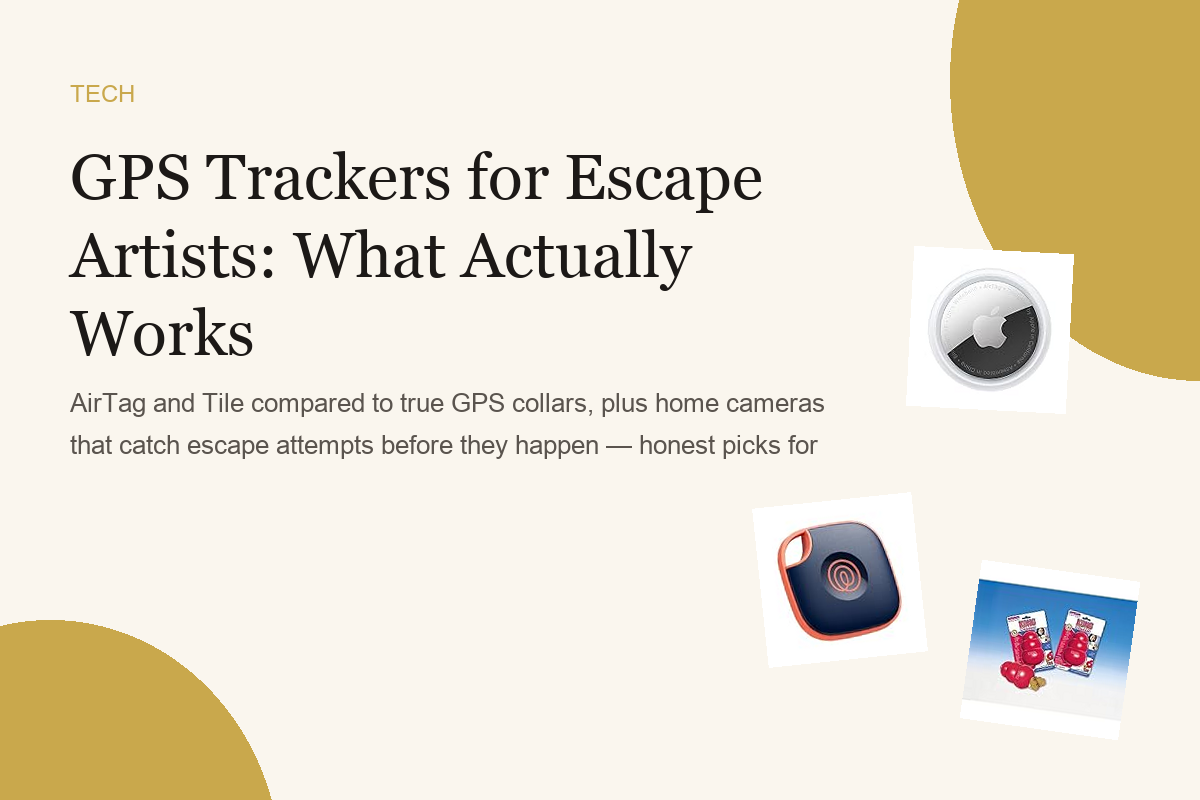 GPS Trackers for Escape Artists: What Actually Works