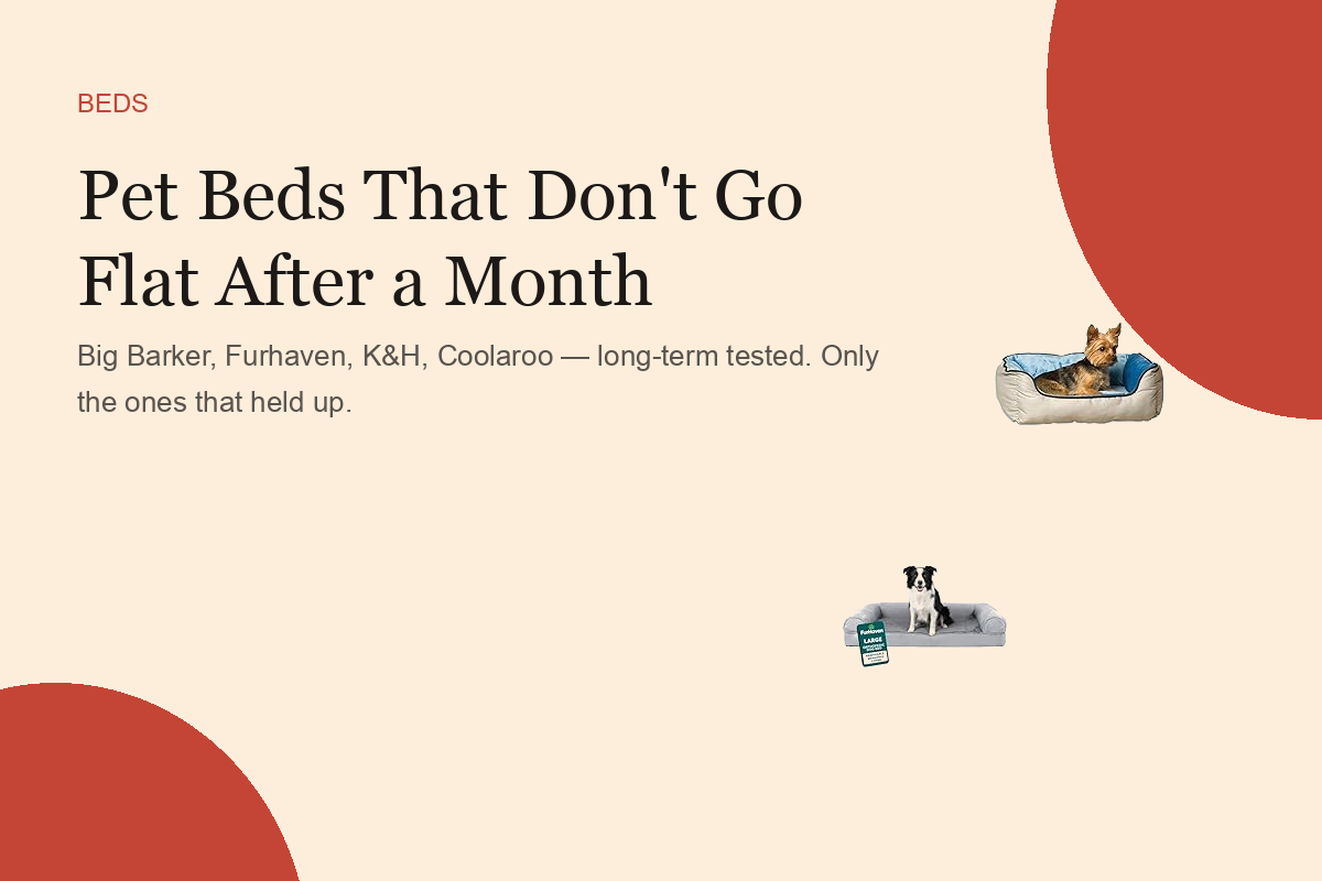 Pet Beds That Don't Go Flat After a Month